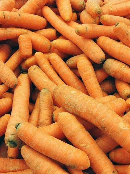 Buy Now Carrots 