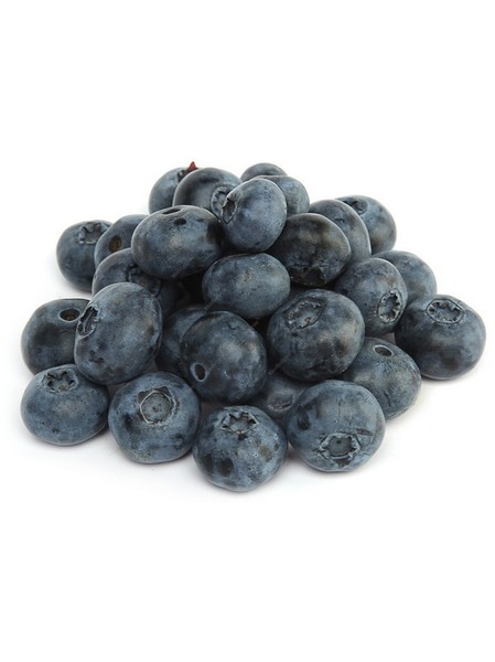 Buy Now Blueberry Organic 