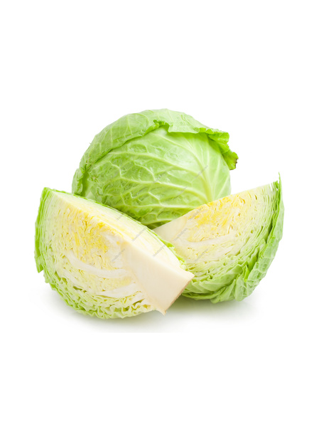 Buy Now Cabbage White 