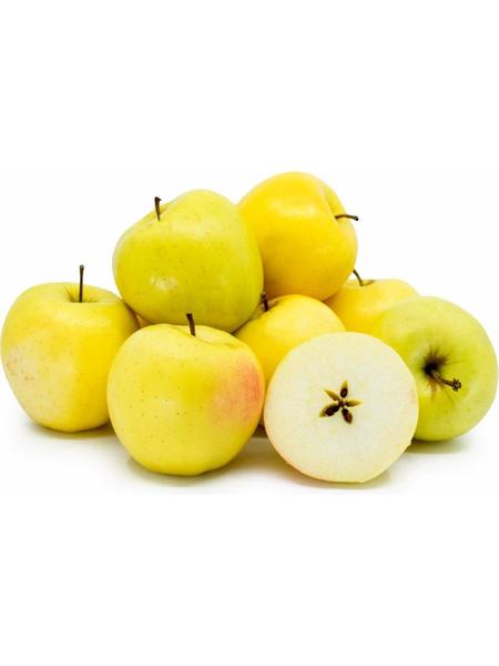 Buy Now Apples Yellow Golden Del 