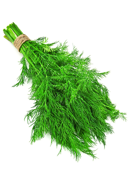Buy Now Dill 