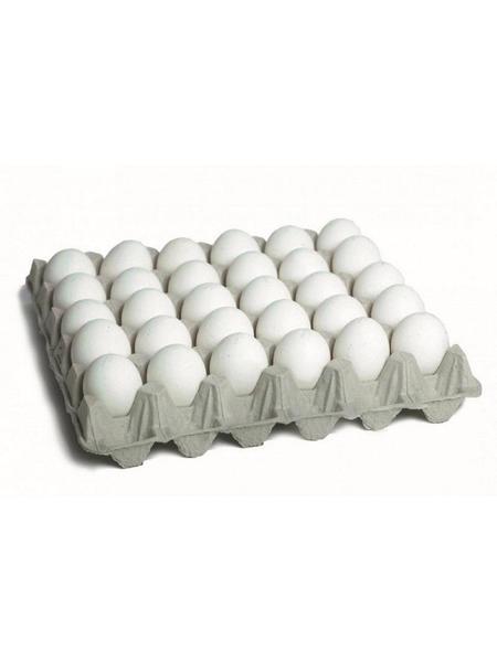 Buy Now Eggs White Small 
