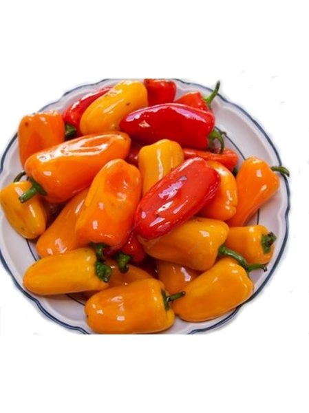 Buy Now Peppers Bell Mini 