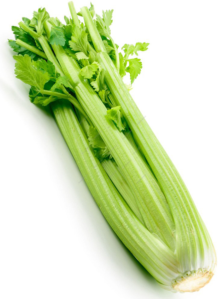 Buy Now Celery 