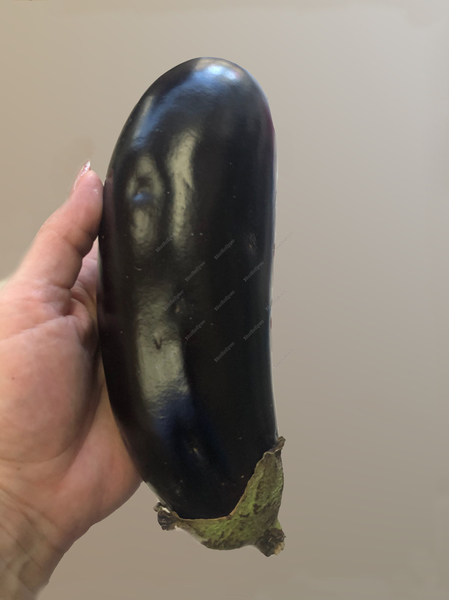 Buy Now Eggplant 