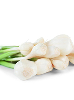 Garlic young 