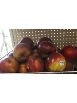 Apples Red Makintosh 